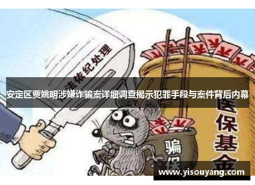 安定区贾姚明涉嫌诈骗案详细调查揭示犯罪手段与案件背后内幕