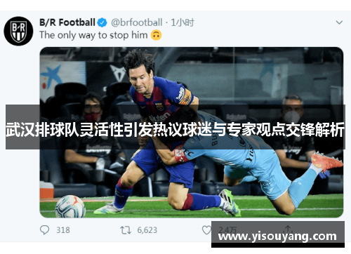武汉排球队灵活性引发热议球迷与专家观点交锋解析